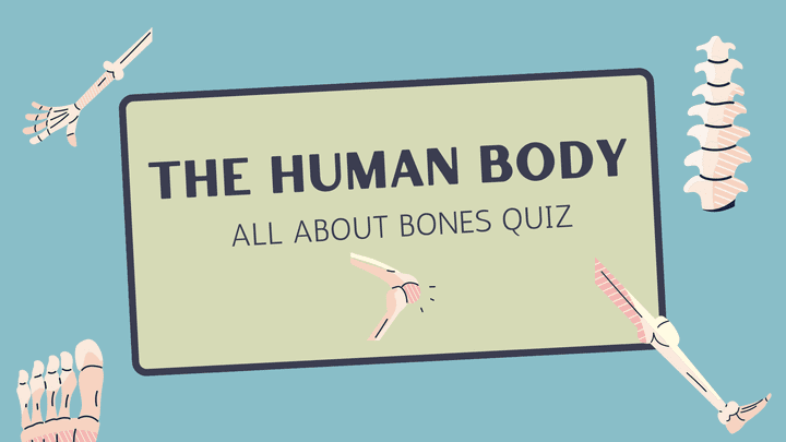 Quiz about human body