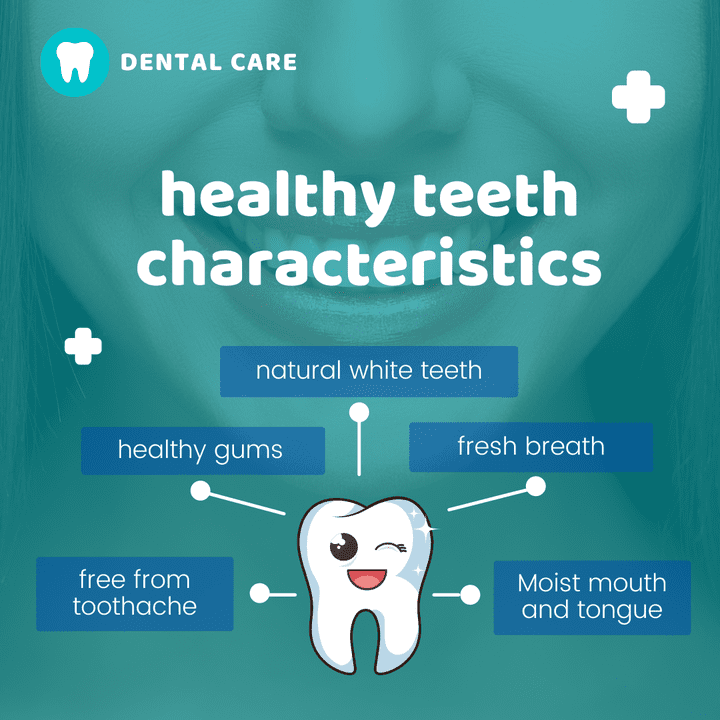 healthy teeth characteristics