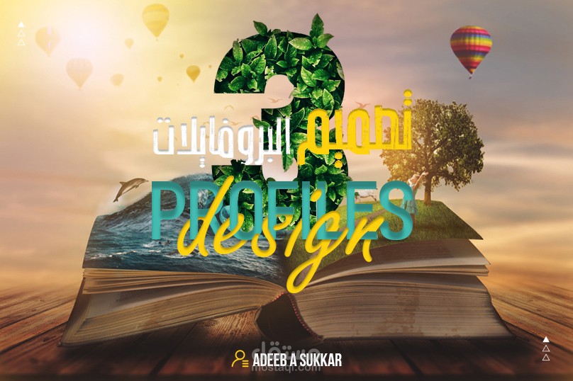 تصميم البروفايلات والكتيبات 3