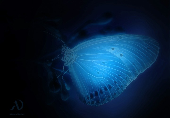 glowing butterfly