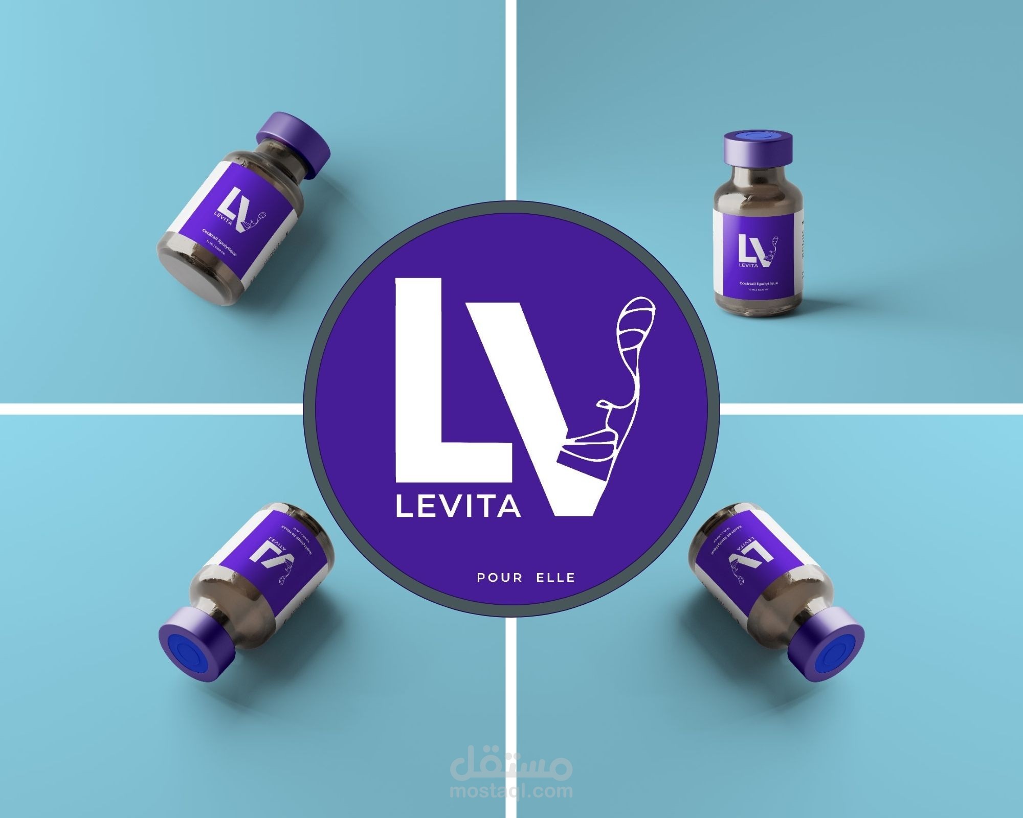 Lavita Care Logo and sticker