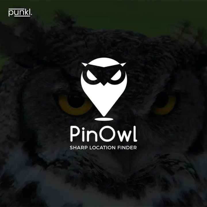 PinOwl Logo Design