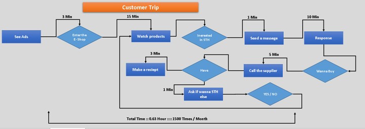 customer trip process flow chart