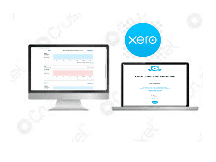 برنامج Xero