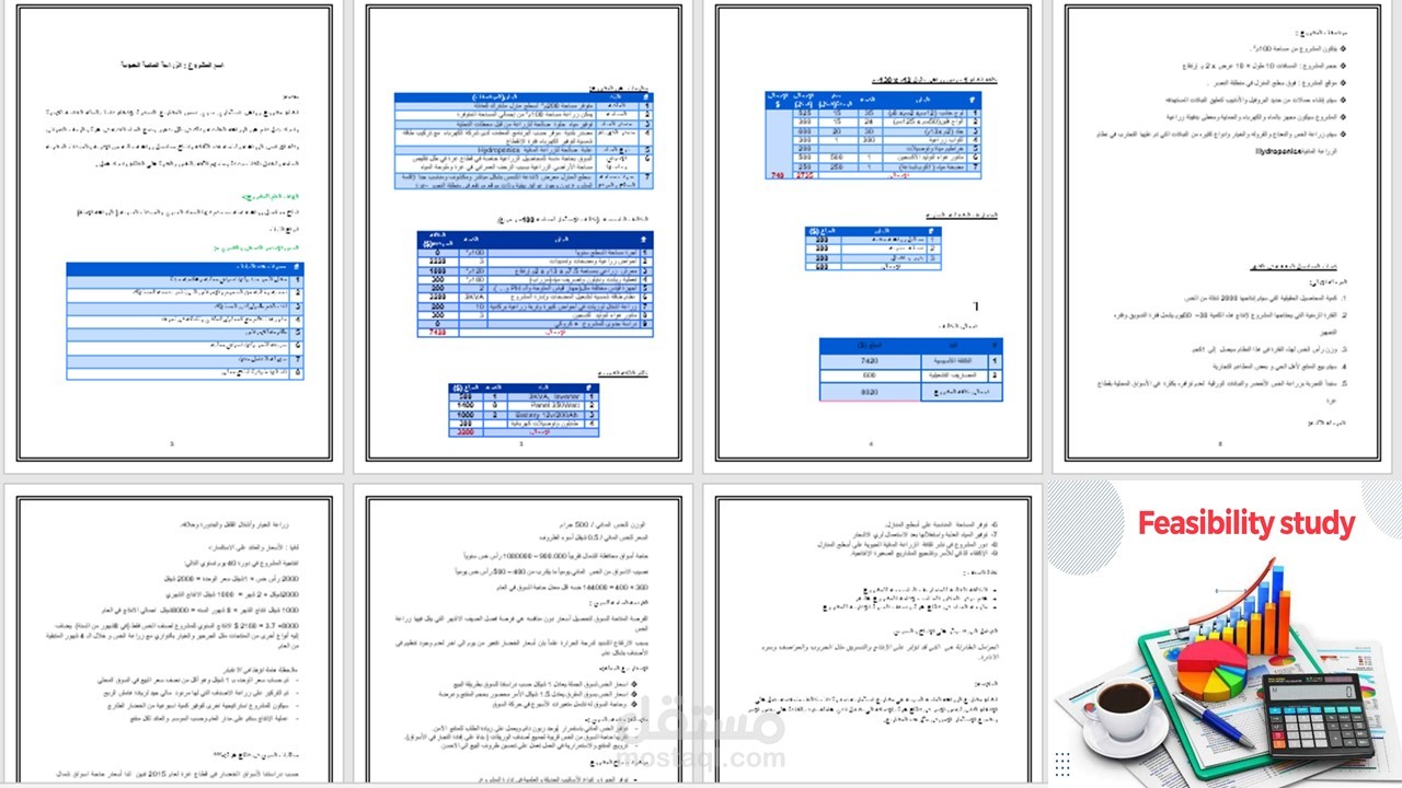 دراسة جدوى اقتصادية