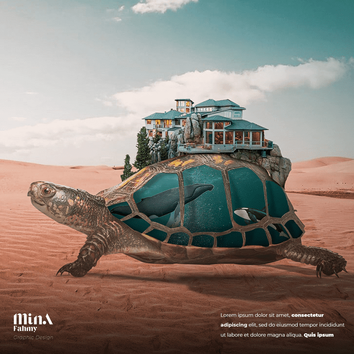 A Desert Tortoise's Aquatic Fantasy