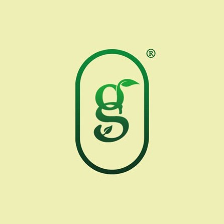 GS. Logo