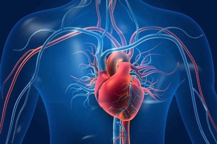 Heart diseases prediction