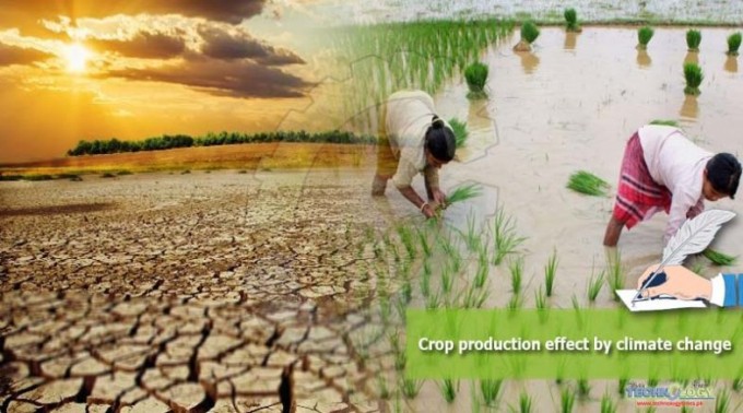 Effects of Climate Changes on Crop Yields