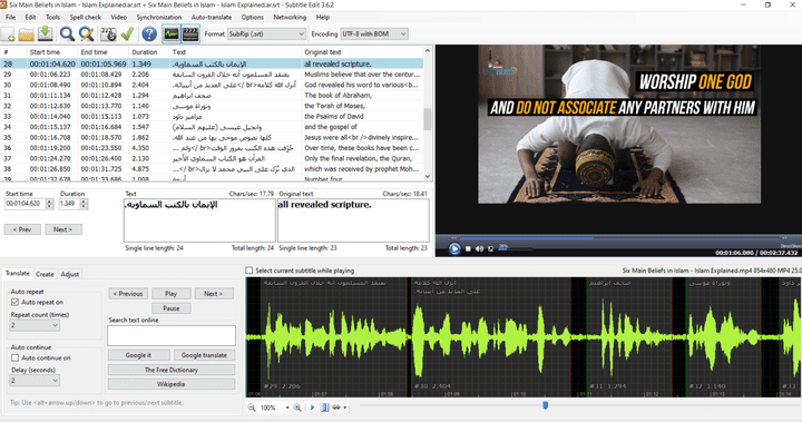 Subtitling sample