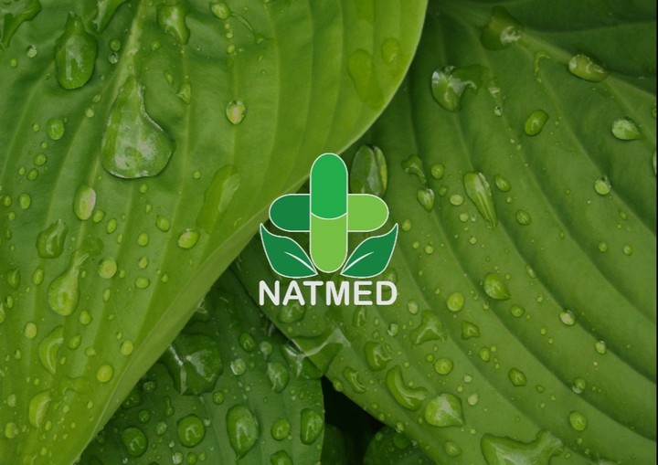 NatMed Logo Design