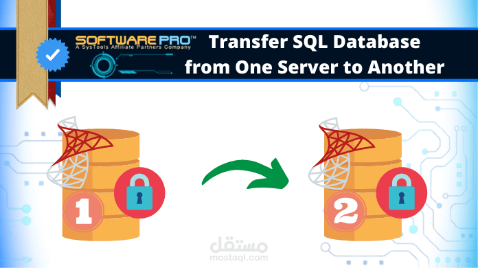 نقل داتا من SQL قديم إلى SQL جديد | مستقل