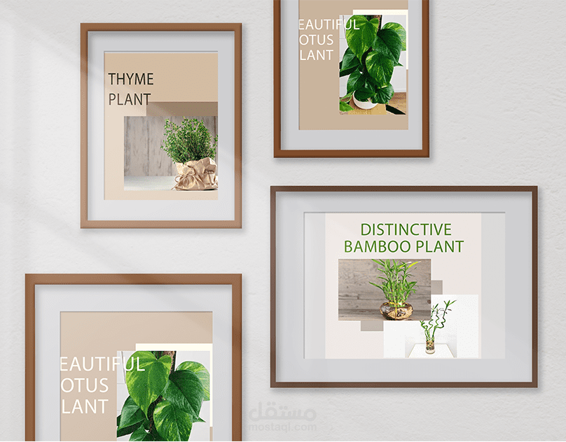 Social Media Design | Plant Store