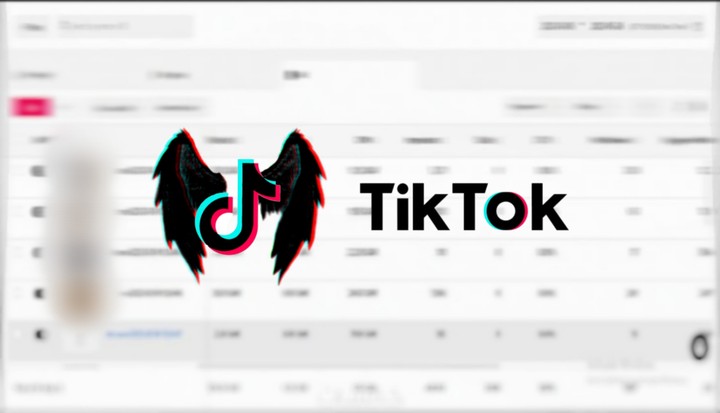 campaign on Tik Tok