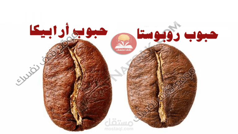 أرابيكا vs روبوستا