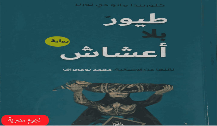 مقال قراءة في رواية طيور بلا أعشاش لكلوريندا ماتو دي تورنر