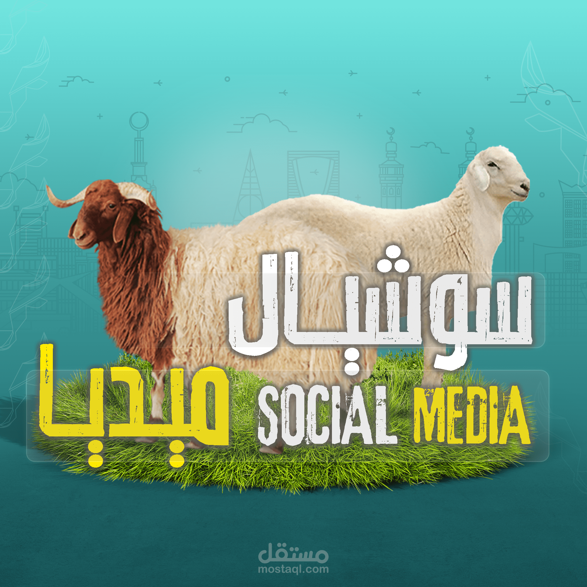 تصاميم سوشيال ميديا تسويقية للاضاحي  لمتجر مواشينا