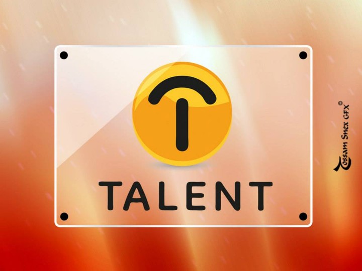 Talent For Computer Services