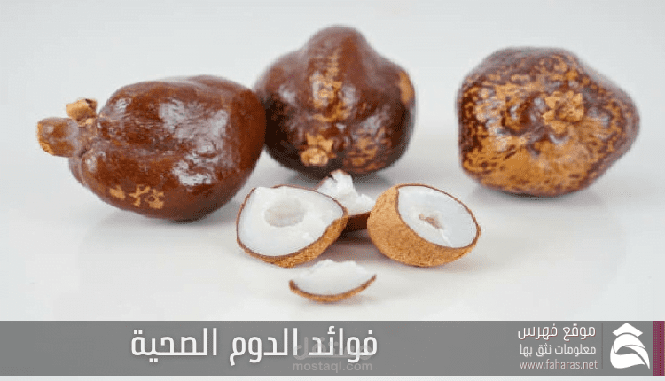 فوائد الدوم الصحية