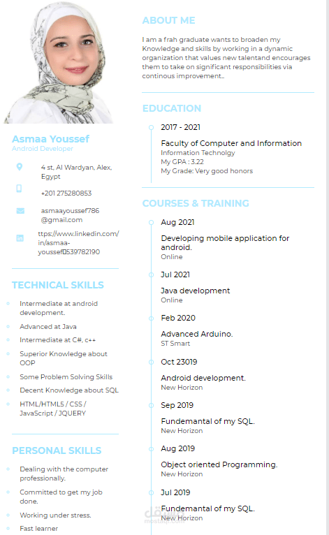 Resume using html and css 