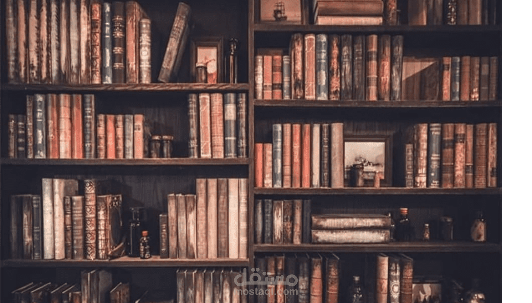 اقرء لك ما تحتاج بصوت واضح وهادئ واحترافي