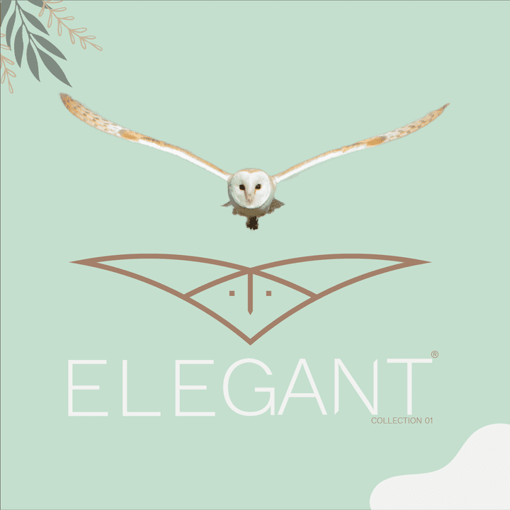 تصمميم لوجو احترافي ومميز  لمكان بيع ملابس ELEGANT