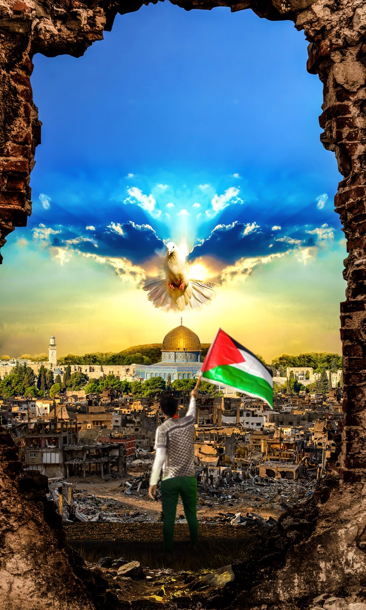 تصميم دمج فلسطين