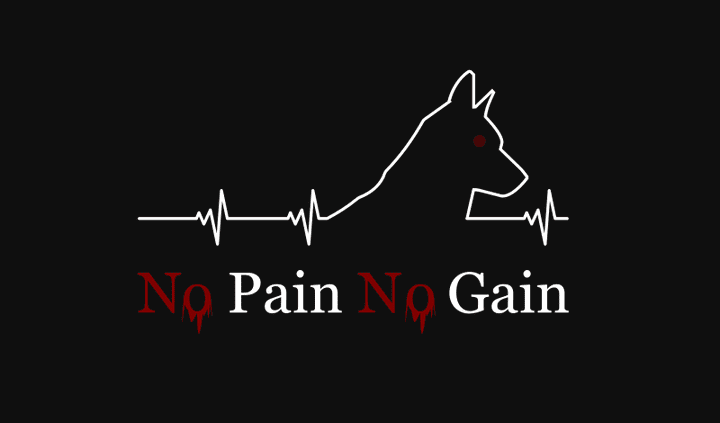 تصميم صورة فيكتور لجملة No Pain No Gain