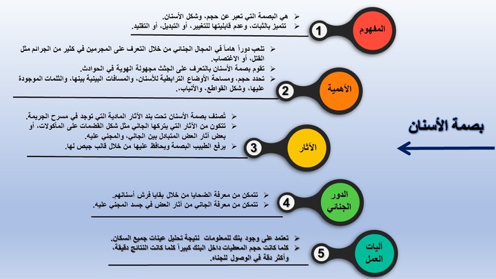 تصميم عروض الباوربوينت والإنفوجرافيك بطريقة إحترافية ومميزة