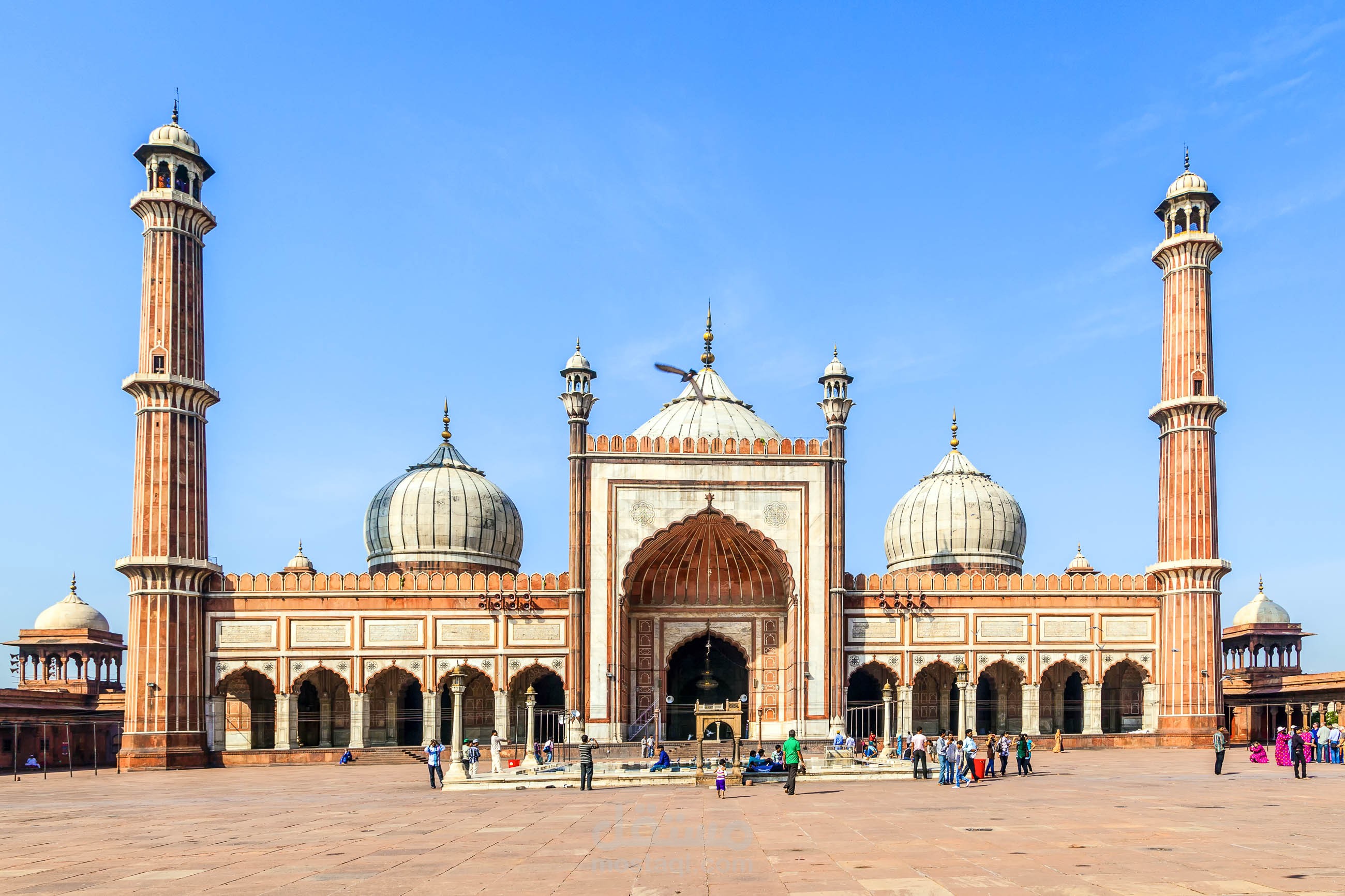 مقال عن المسجد الجامع في دلهي