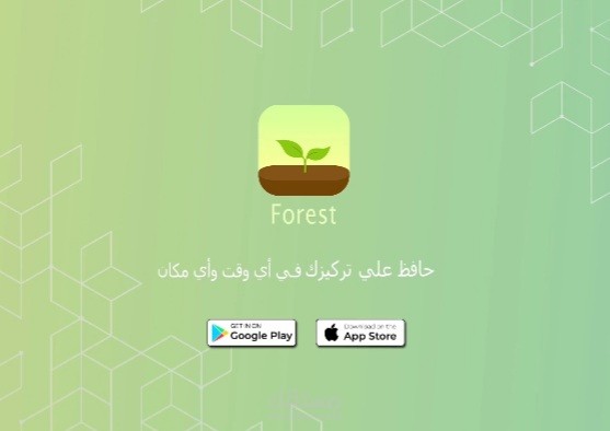 موشن جرافيك | FOREST