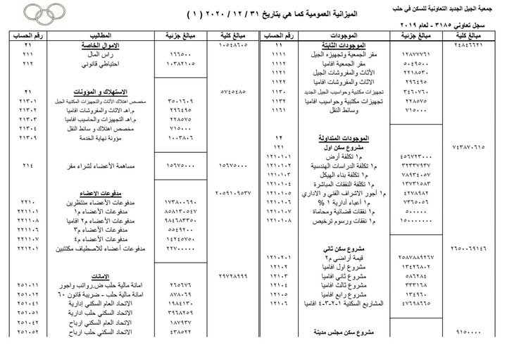 الميزانية العمومية لجمعية تعاونية سكنية ٢٠٢٠