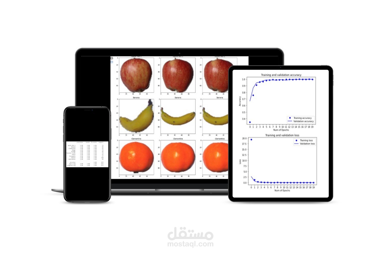 تصنيف الفواكه باستخدام التعلم العميق
