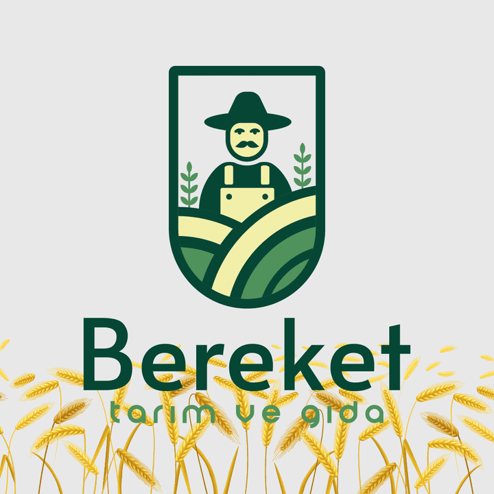 Bereket