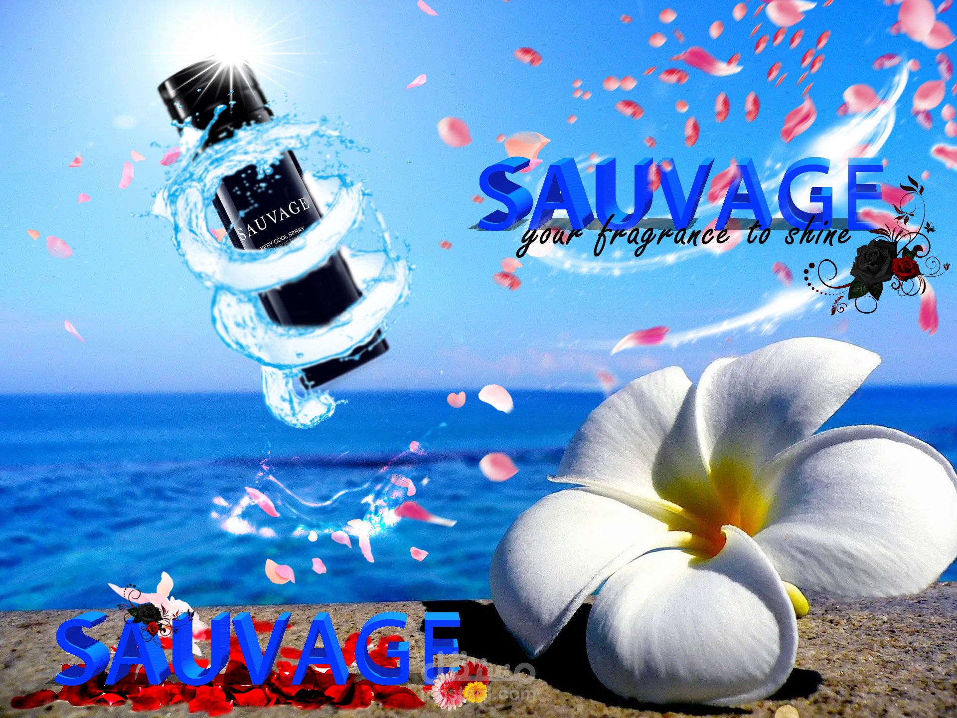 Sauvage