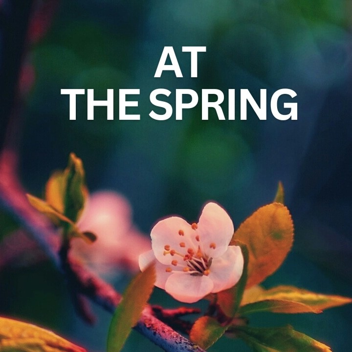 At The Spring