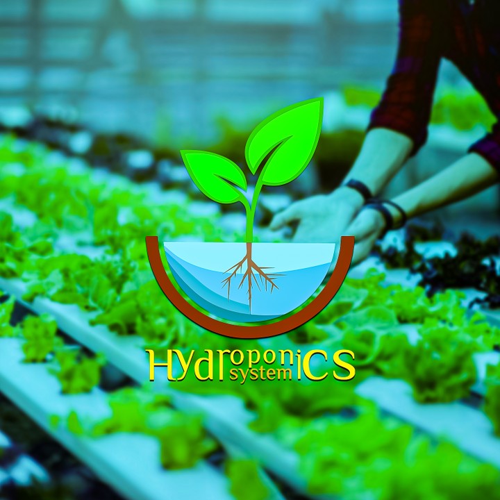 Hydroponics system