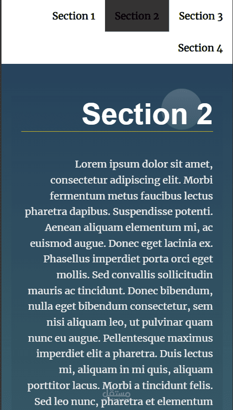 Scroll into view function