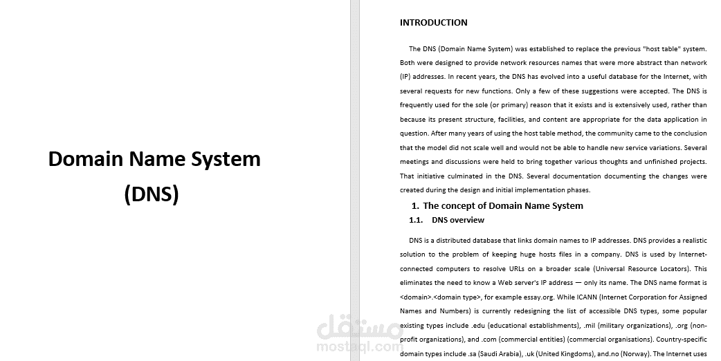 إنجاز تقرير تقني عن Domain Name System (DNS)