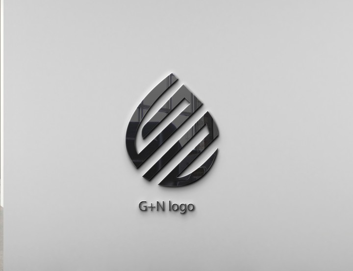 شعار G+N logo