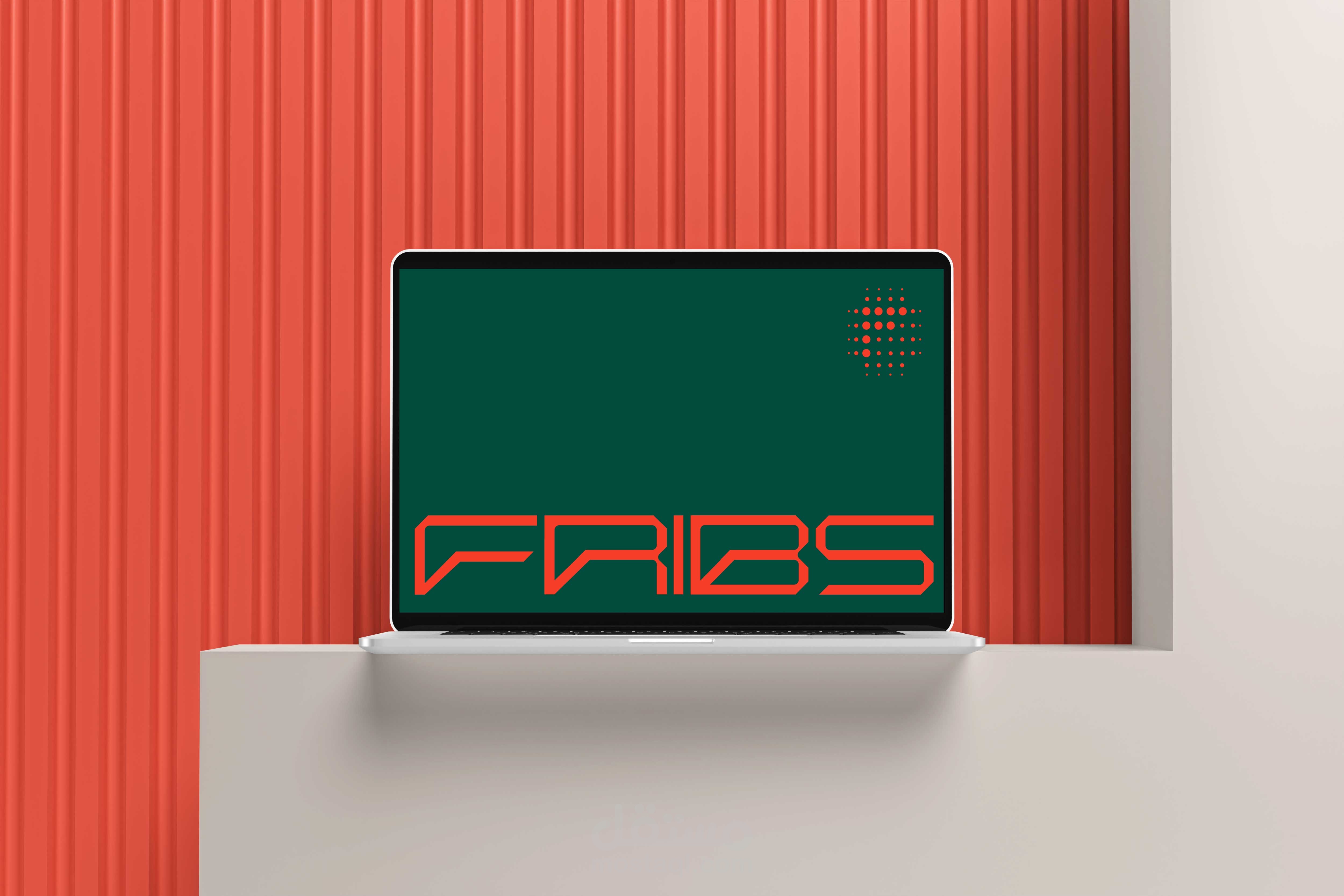 FRIBS | Visual identity