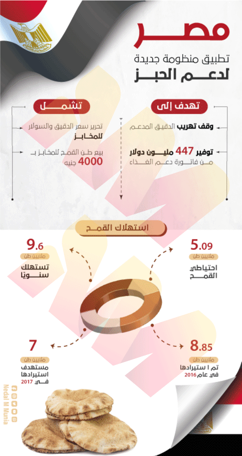 تصميم عن مصر