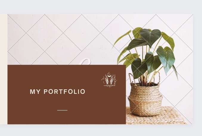 Portfolio presentation