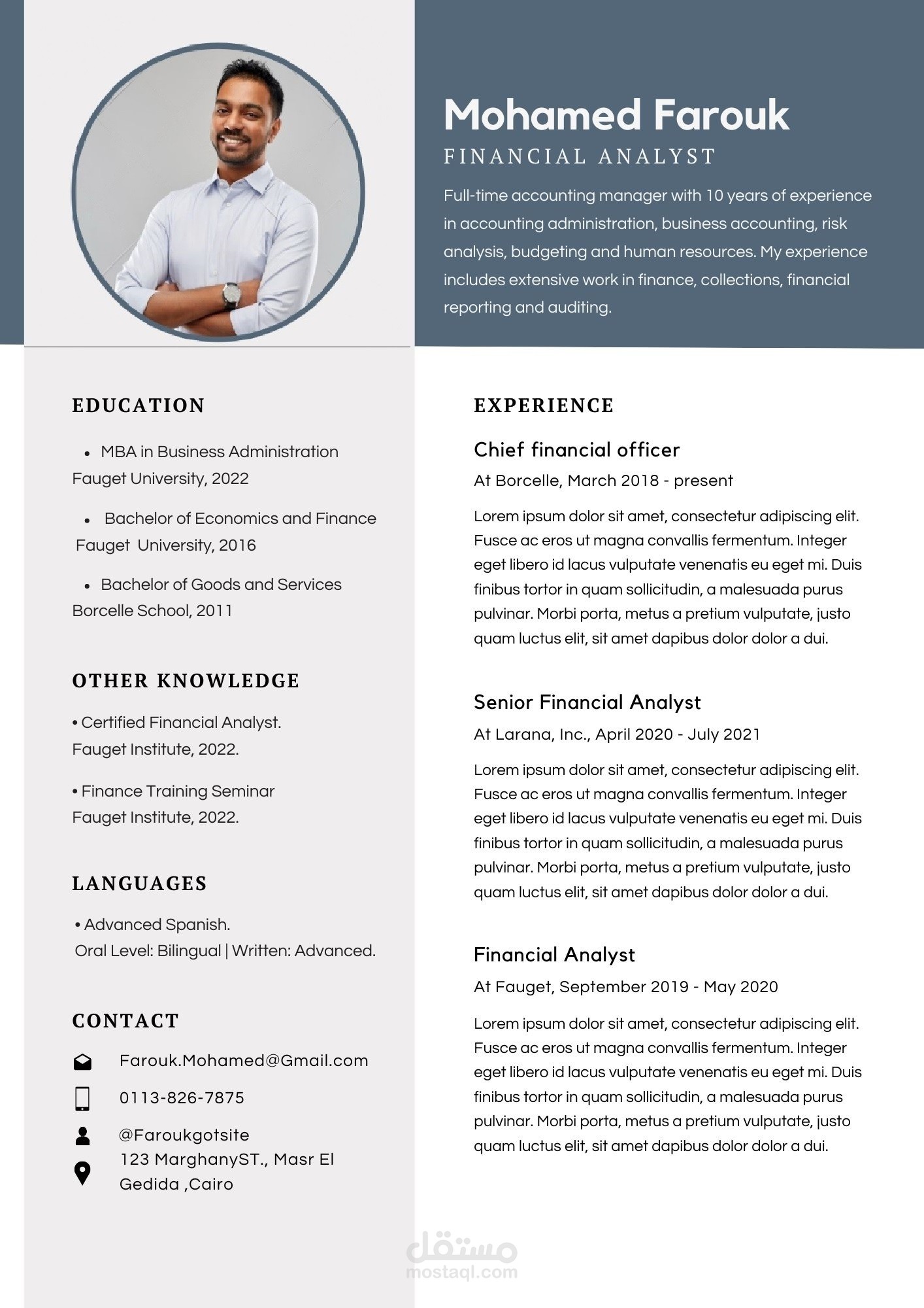 professional CV