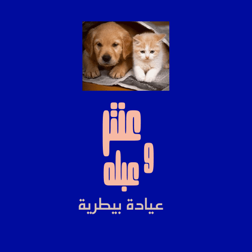 تصميم لوجو عياده