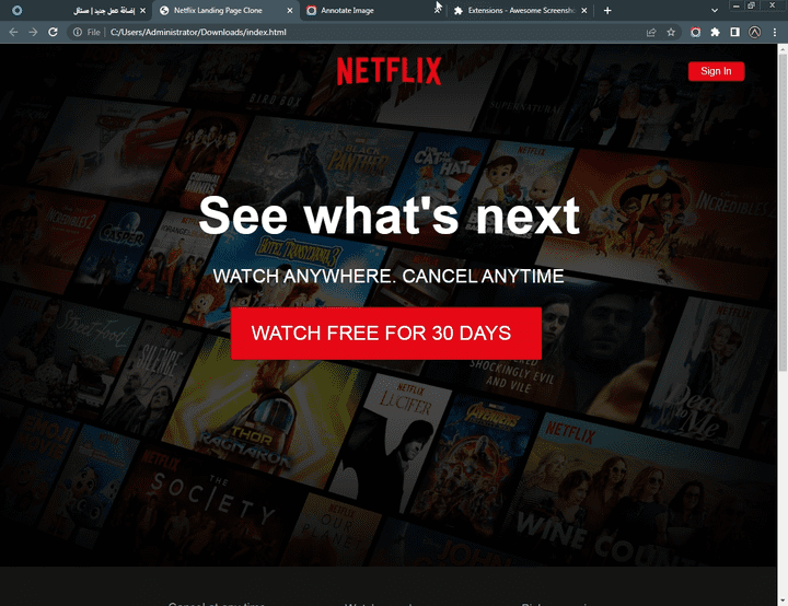 Netflix Clone - Responsive And Inteactive