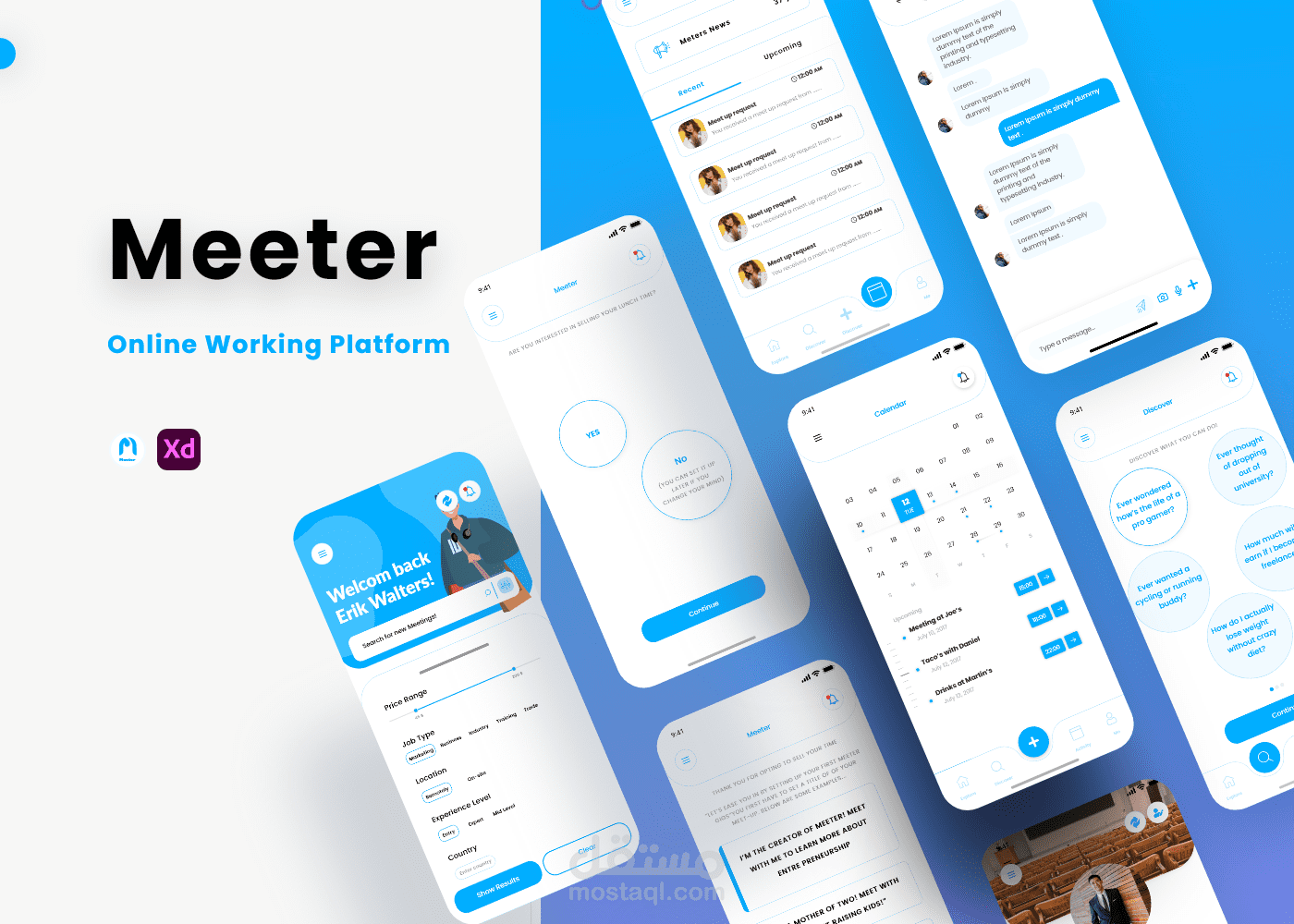 meeter is an online working app