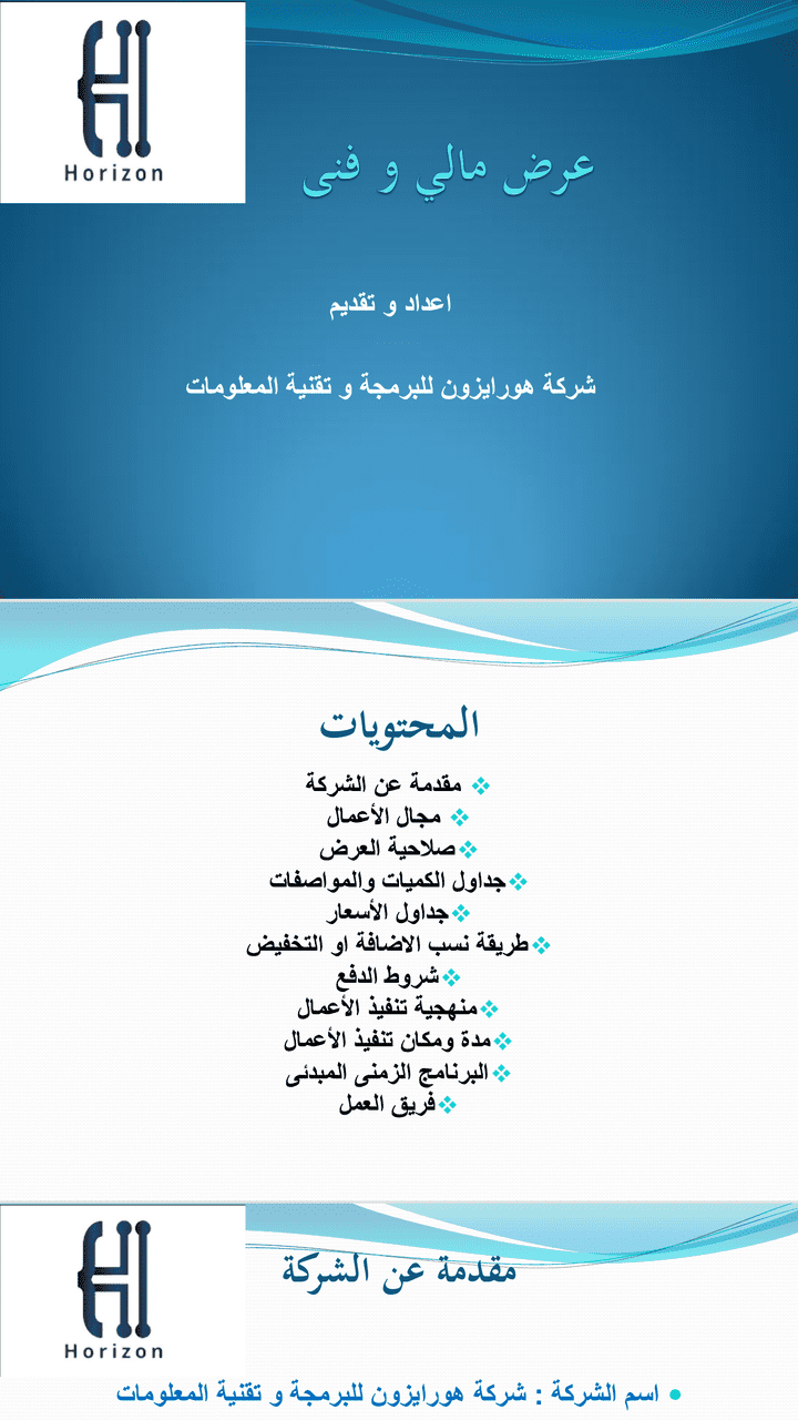 عرض مالي و فنى لشركة هوايرزون السعودية