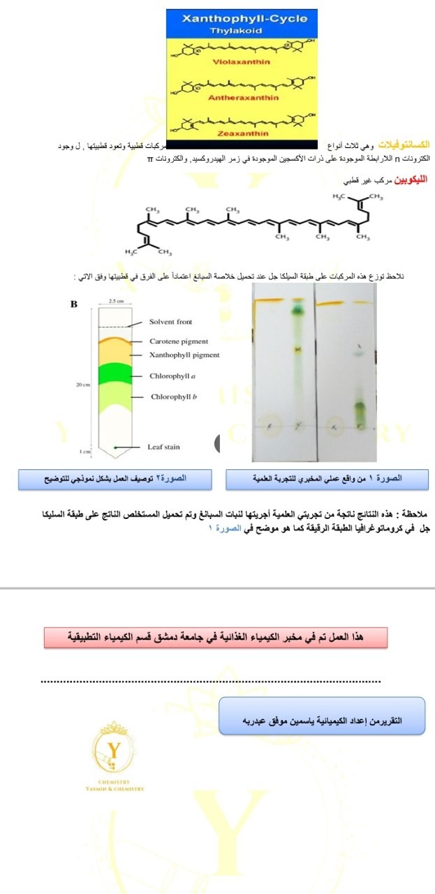 تجربة علمية كيميائية  وكتابة تقرير علمي