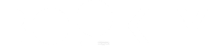 flutter developer